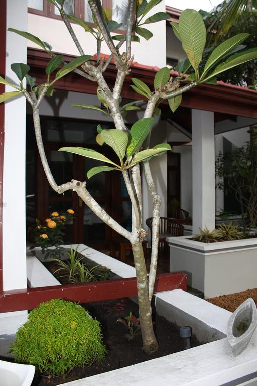 Hotel Aliya Lanka à Beruwala Extérieur photo